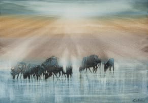 Gordon Vorster; Wildebeest with Sun Rays
