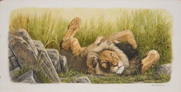 Johan Hoekstra; Untitled (Lion)