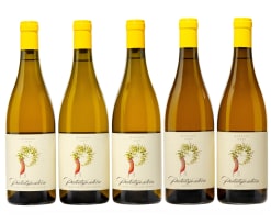 Patatsfontein; Steen; 2019, 2020; 5 (1 x 5); 750ml