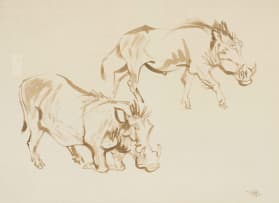 Zakkie Eloff; Warthogs