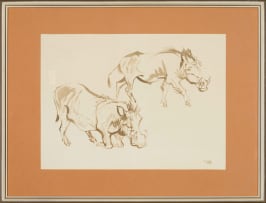 Zakkie Eloff; Warthogs