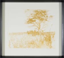 Sue Williamson; Kalahari Tree