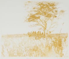 Sue Williamson; Kalahari Tree