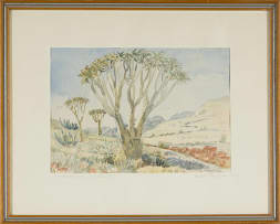 Adolph Jentsch; Candelaber Aloe, der Namib (Candelabra Tree, the Namib)