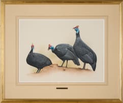 Kenneth Newman; Crowned Guineafowls