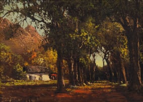 Tinus de Jongh; Cape Landscape