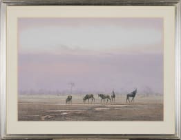 Kim Donaldson; Sable Herd - Late Afternoon Drink (Wankie, Zimbabwe)