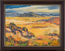 Stefan Ampenberger; Free State Landscape