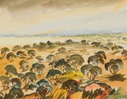 Stefan Ampenberger; Free State Landscape with Thorn Trees