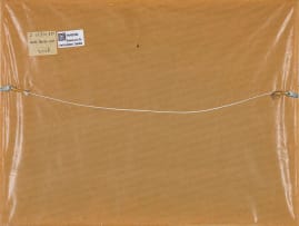 George Hallett; Birds in Signal Street