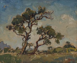 Gregoire Boonzaier; Trees in a Landscape
