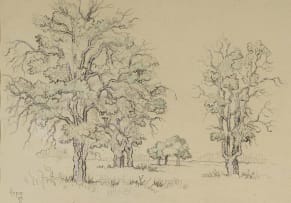 Gregoire Boonzaier; Oak Studies