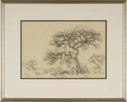 Gregoire Boonzaier; Trees