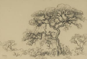 Gregoire Boonzaier; Trees