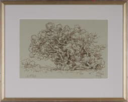 Gregoire Boonzaier; Tree Study, Onrus, Cape