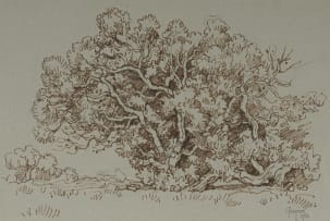 Gregoire Boonzaier; Tree Study, Onrus, Cape