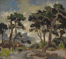 Gregoire Boonzaier; Trees with Distant Mountains