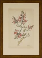 Gregoire Boonzaier; Coral Tree Flowers