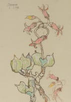 Gregoire Boonzaier; Plakkies (Cotyledon)
