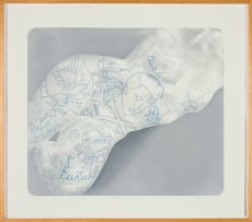 Sanell Aggenbach; Atlantis