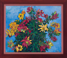 François Krige; Study of Leucadendrons