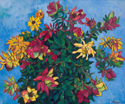 François Krige; Study of Leucadendrons