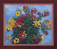 François Krige; Study of Leucadendrons
