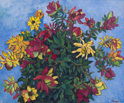 François Krige; Study of Leucadendrons