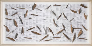 Willem Boshoff; Dubul' Ibhunu (Kill the Boer)