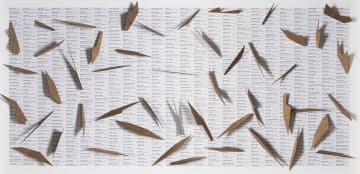 Willem Boshoff; Dubul' Ibhunu (Kill the Boer)