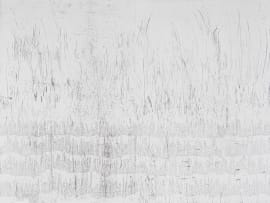 Willem Boshoff; Highveld