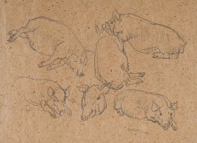 Maggie Laubser; Study of Pigs