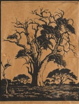 Jacob Hendrik Pierneef; Hardekoolboom, TVL (Leadwood, Transvaal) (Nilant 74)