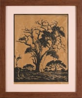 Jacob Hendrik Pierneef; Hardekoolboom, TVL (Leadwood, Transvaal) (Nilant 74)