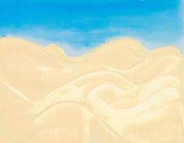 Trevor Coleman; Namib Desert