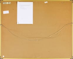 Trevor Coleman; Namib Desert