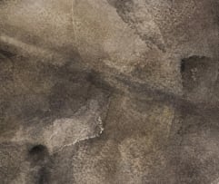 Joni Brenner; Skull Series (III)