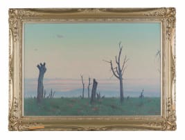 Willem Hermanus Coetzer; Delville Wood, 1925