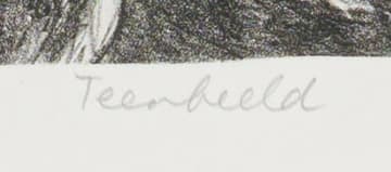 Elza Botha; Teenbeeld (Counter Image)