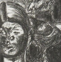 Elza Botha; Teenbeeld (Counter Image)