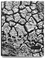 Various Authors; Izak and Battiss, poster; Limpopo; Ander het Gesê; De Arte; Ndedema, five