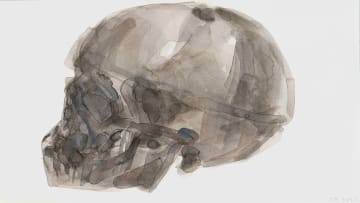 Joni Brenner; Skull Series (I)