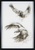 Diane Victor; Threatened Lives (Cape Vulture)