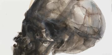 Joni Brenner; Skull Series (II)