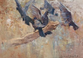 Errol Boyley; Feeding the Pigeons