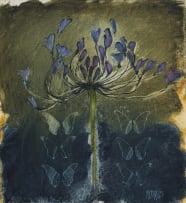 Michael Heyns; Windblom