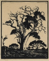 Jacob Hendrik Pierneef; Hardekoolboom, TVL (Nilant 74)
