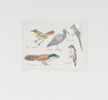 Claudette Schreuders; My Voels I