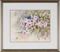 Lucy Wiles; Pink Azalea Species
