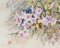 Lucy Wiles; Pink Azalea Species
